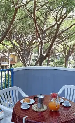 Stüdyo