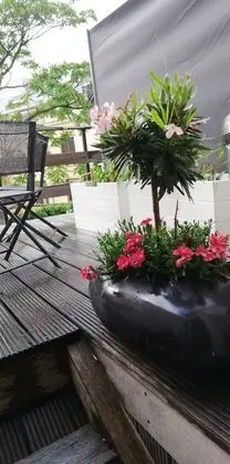 Apart Daire (Terrasse)