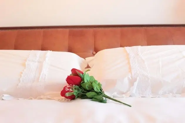 Luxury Apart Daire, Park Manzaralı