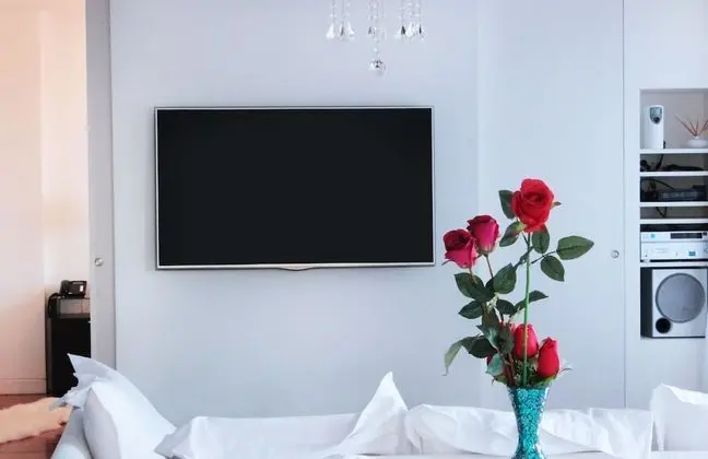 Luxury Apart Daire, Park Manzaralı