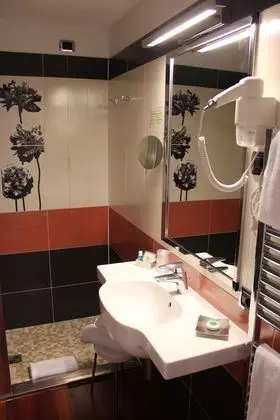 Superior Tek Büyük Yataklı Oda, Göl Manzaralı