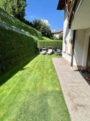 Suite Nature