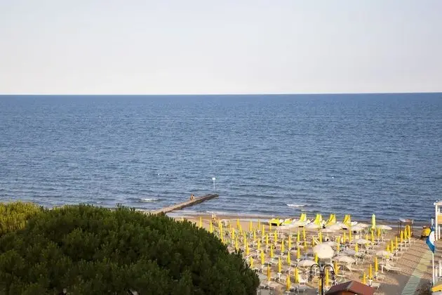 Traditional Apart Daire (With Terrace)