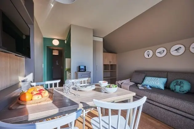 Standard Apart Daire, 1 Yatak Odası, Balkon