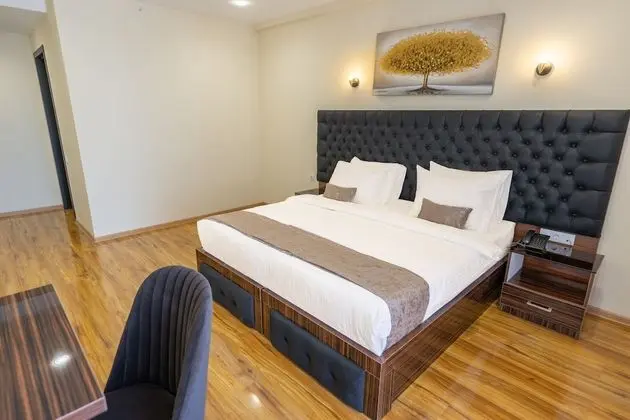 Deluxe Tek Büyük veya İki Ayrı Yataklı Oda, Şehir Manzaralı