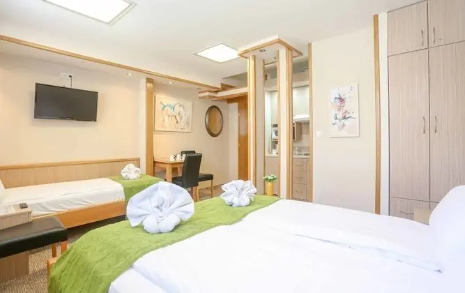 Luxury Stüdyo, 1 Yatak Odası, Şehir Manzaralı