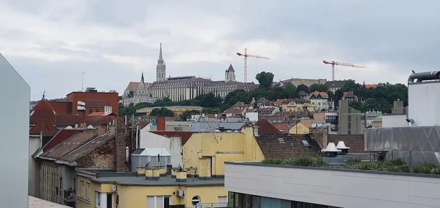 Süit