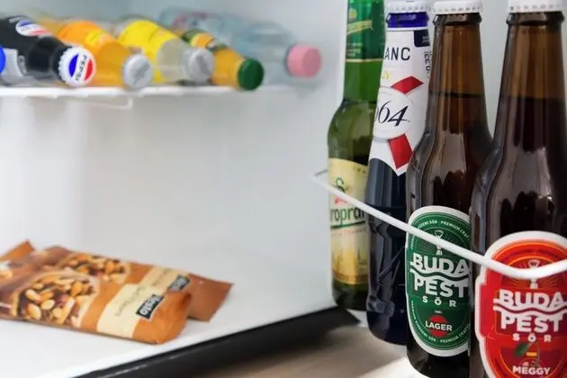 Süit