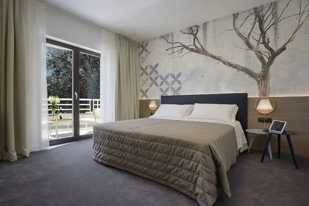 Superior Tek Büyük veya İki Ayrı Yataklı Oda, 1 Yatak Odası, Balkon