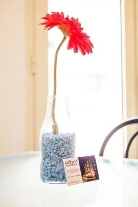 Basic Apart Daire, 1 Yatak Odası