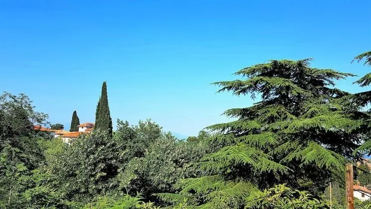 Residence San Lorenzo - App 8