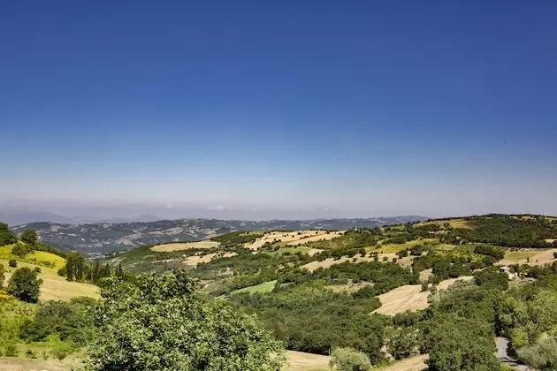 Traditional Apart Daire, 1 Yatak Odası (Casale 4)