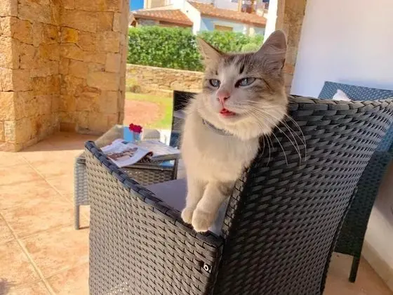 Apart Daire, 2 Yatak Odası, Veranda