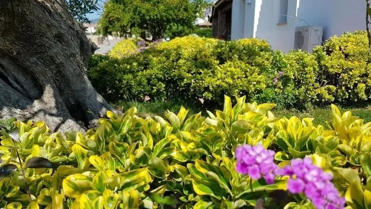 Apart Daire, 2 Yatak Odası, Veranda