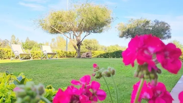 Apart Daire, 2 Yatak Odası, Veranda