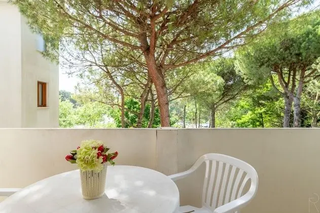 Standard Apart Daire, 1 Yatak Odası