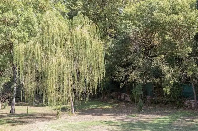 Basic Stüdyo, Bahçe Manzaralı (Bike included ! / Vélo inclus !)