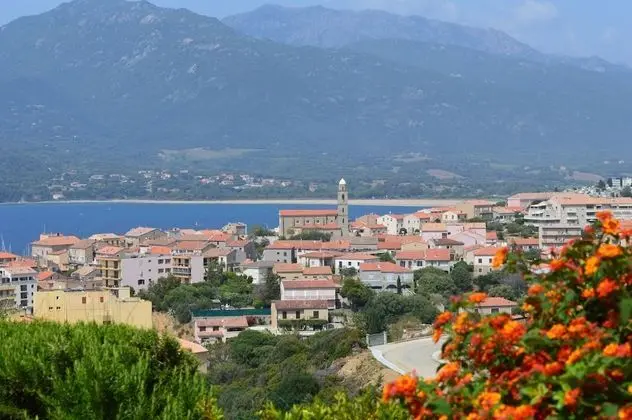 Appartement T2 Luxe vue mer
