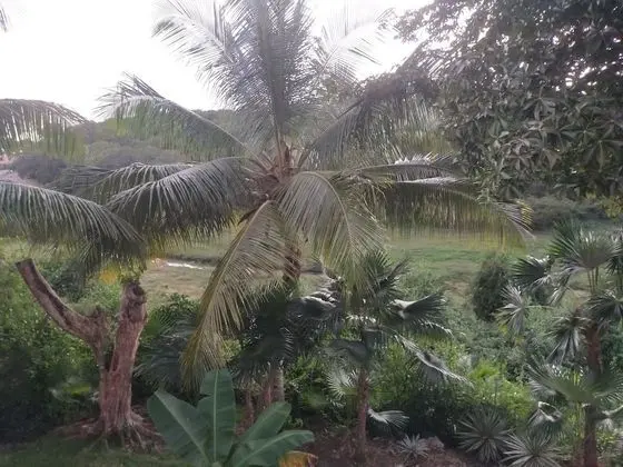 Classic Bungalov, 2 Yatak Odası