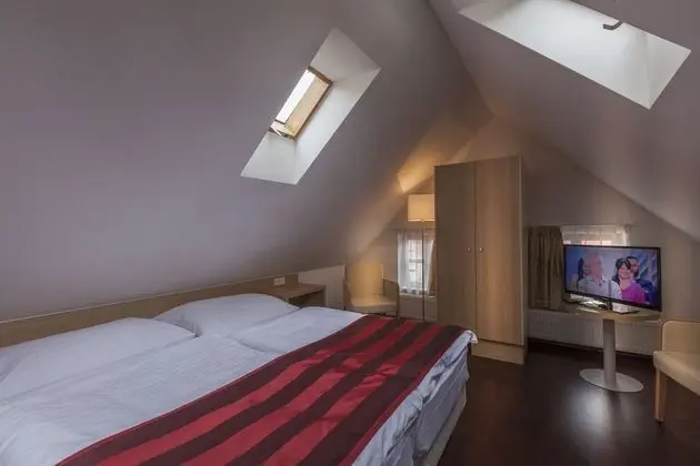 Executive Tek Büyük Yataklı Oda