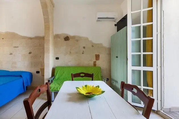 Standard Stüdyo (Verde)