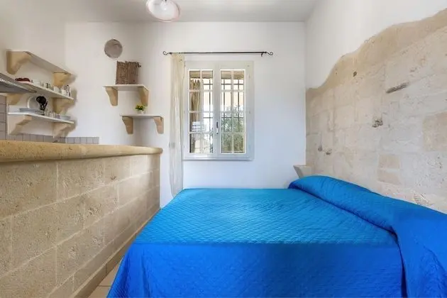 Standard Stüdyo (Verde)