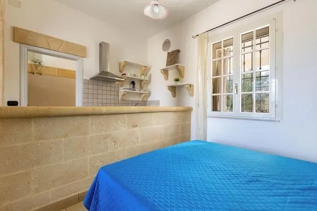 Standard Stüdyo (Verde)