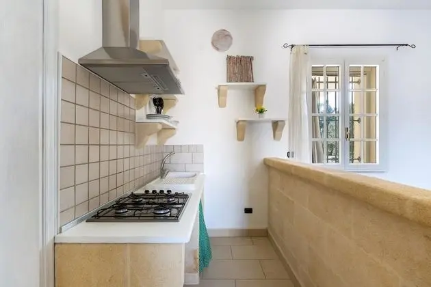 Standard Stüdyo (Verde)