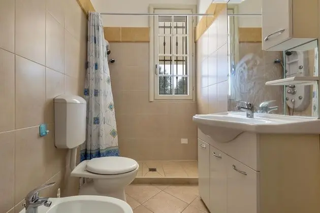 Standard Stüdyo (Verde)