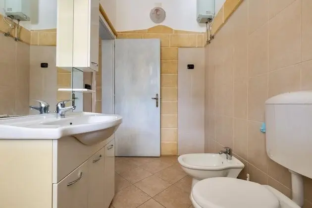 Standard Stüdyo (Verde)