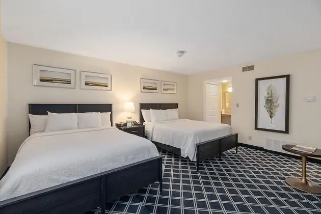 Luxury Stüdyo Süit, Birden Çok Yatak