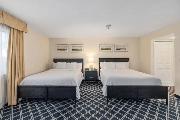 Luxury Stüdyo Süit, Birden Çok Yatak