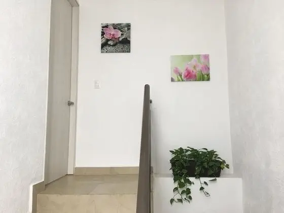 Ev, 3 Yatak Odası, Sigara İçilmez