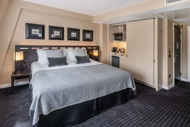 Superior Tek Büyük Yataklı Oda (King bed)