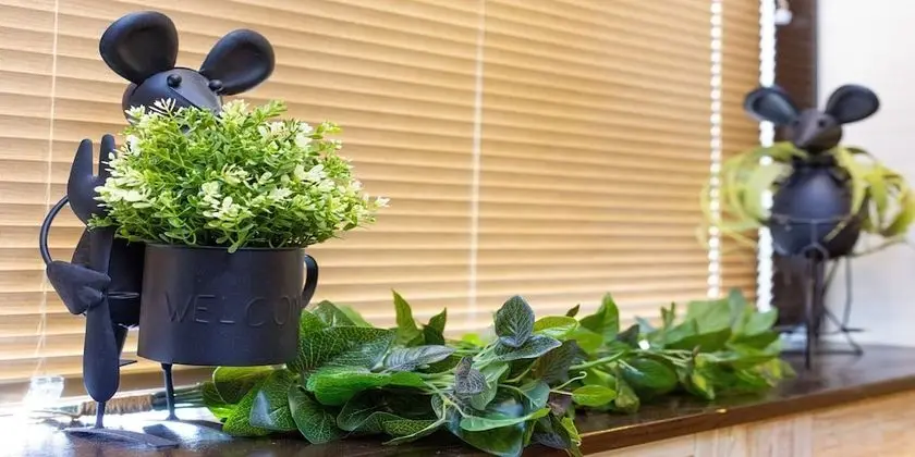 Superior Apart Daire (for 10 People)