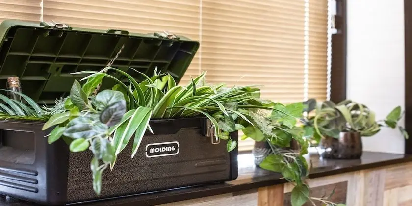 Superior Apart Daire (for 10 People)