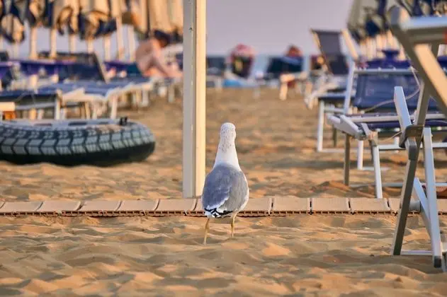 Apart Daire, 2 Yatak Odası, Balkon