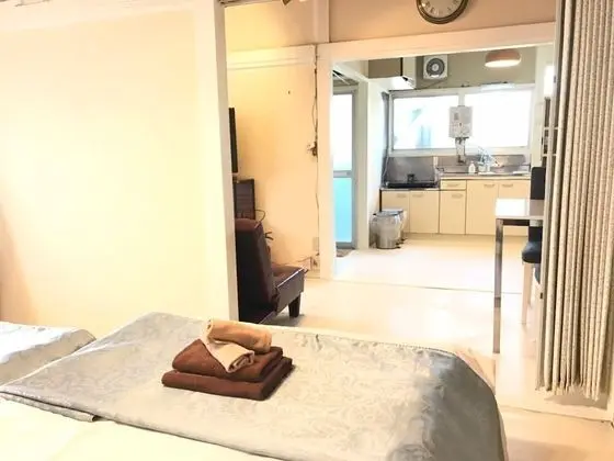 Basic Apart Daire, Sigara İçilmez (DAIICHI-H SHIN-OKUBO Room.B)