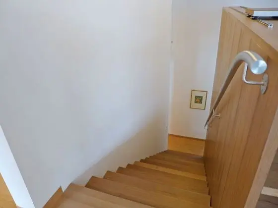 Ev