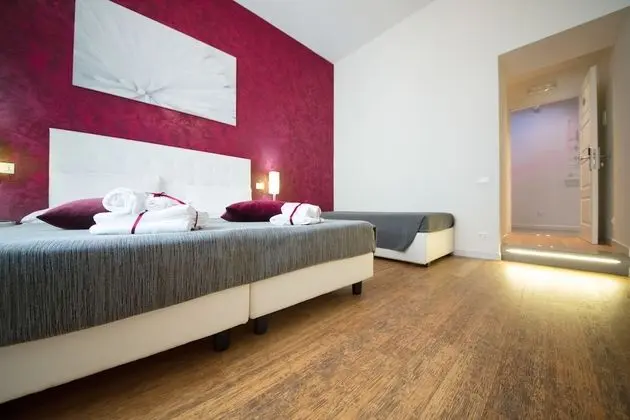 Superior Tek Büyük Yataklı Oda (King)