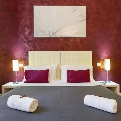 Superior Tek Büyük Yataklı Oda (King)