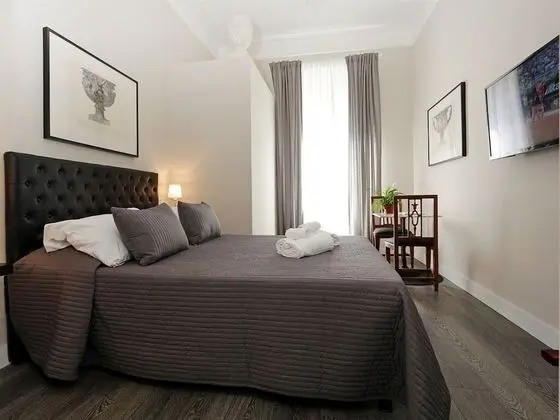 Superior Tek Büyük Yataklı Oda, Özel Banyo