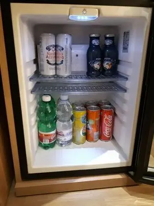 Mini buzdolabı