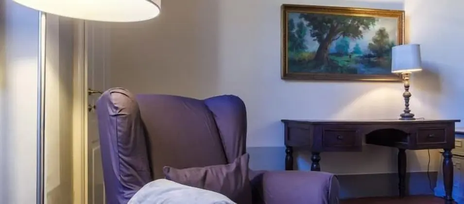 Superior Tek Büyük Yataklı Oda, Şehir Manzaralı