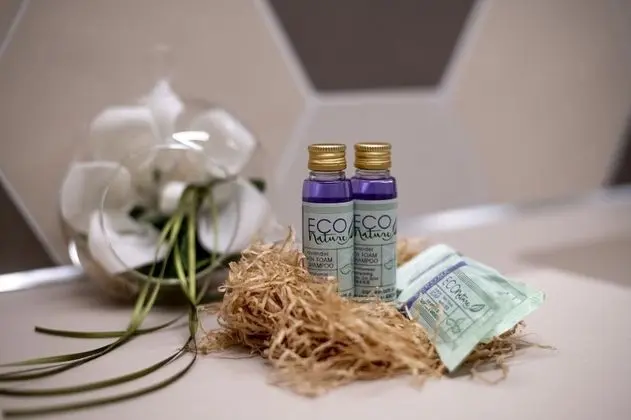 Deluxe Tek Büyük veya İki Ayrı Yataklı Oda (Lucia)