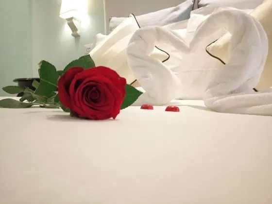 Deluxe Tek Büyük veya İki Ayrı Yataklı Oda