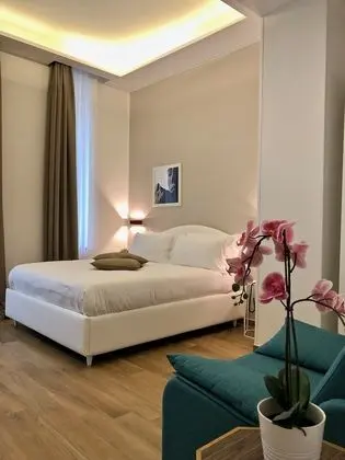Superior Tek Büyük Yataklı Oda, Şehir Manzaralı