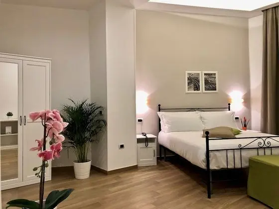 Superior Tek Büyük Yataklı Oda, Şehir Manzaralı