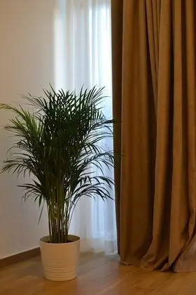 Superior Tek Büyük Yataklı Oda, Şehir Manzaralı