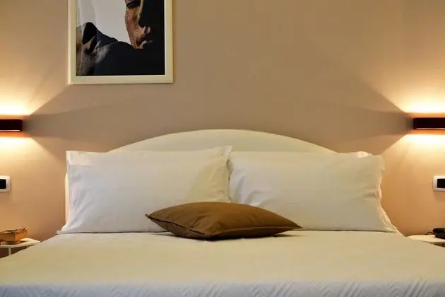 Superior Tek Büyük Yataklı Oda, Şehir Manzaralı